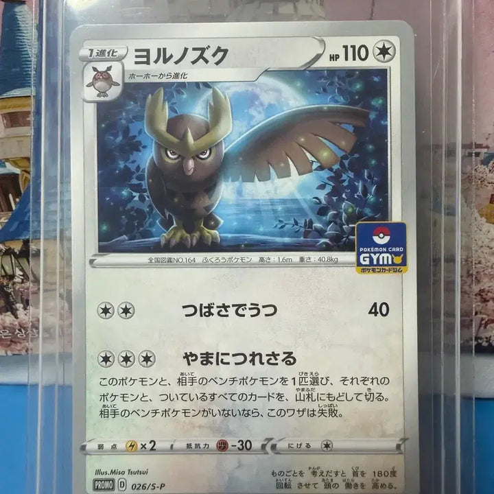 [BUNJANG] Pokemon Card Noctowl GYM Promo / 포켓몬카드 야부엉 GYM 프로모