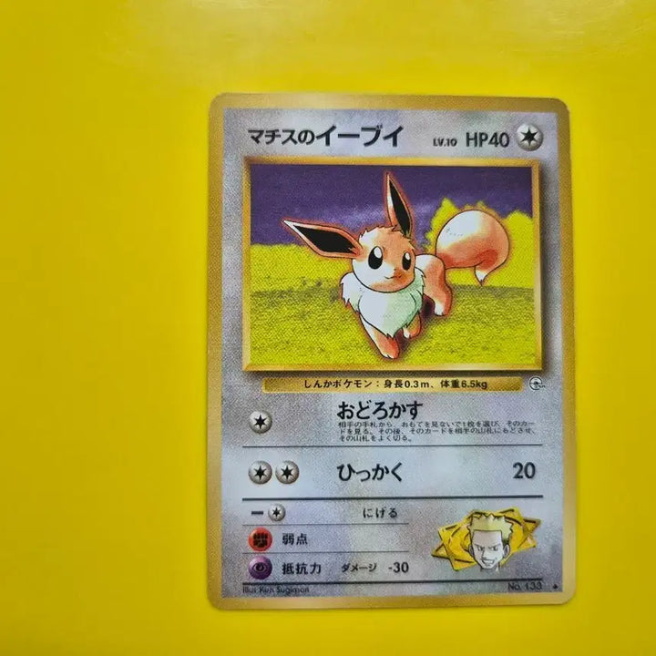 [BUNJANG] Pokemon Card Eevee 1st Edition Japanese 1996 S-Grade / 포켓몬카드 S-급 1996 희소 이브이 초판 일판 일본판