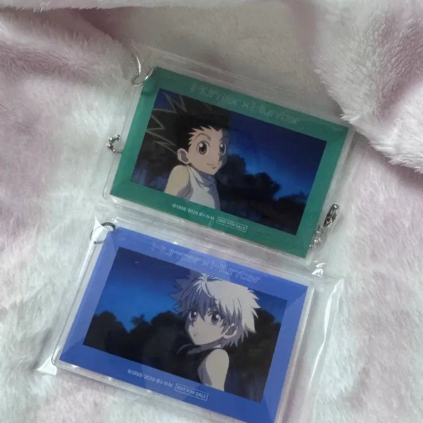 [BUNJANG] Hunter x Hunter APLINK Keyring Gon Killua / 헌헌 특전 콜카 애니플러스 키링 곤 키르아