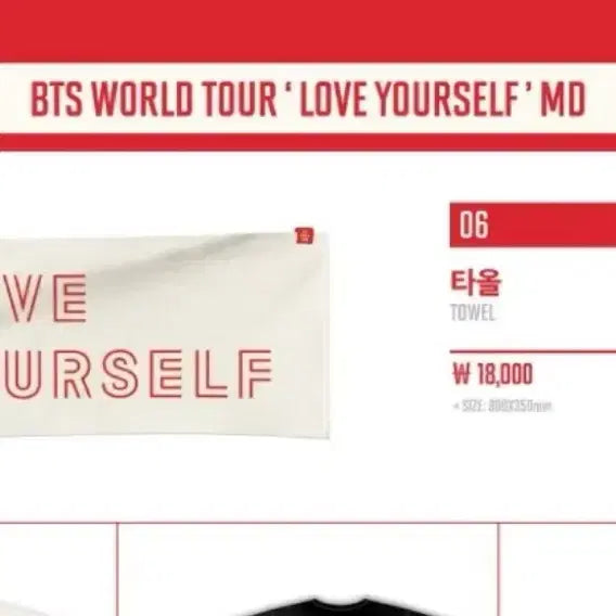 [BUNJANG] BTS Love Yourself World Tour Goods Towel (Sealed) / (미개봉) BTS 방탄 러브유어셀프 월드 투어 굿즈 타월 타올 towel