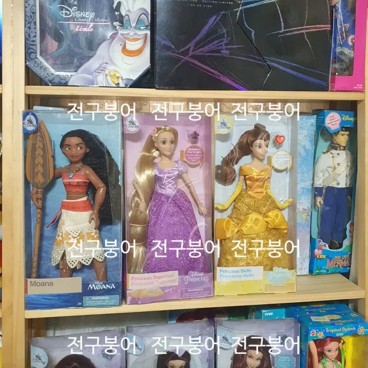 [BUNJANG] Disney Classic Doll Moana, Rapunzel, Belle Set / 디즈니 클래식돌 모아나 라푼젤 벨