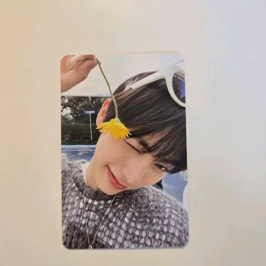 [BUNJANG] Taesan Who! Album Photocards / (동영상확인) 태산 who! 앨범활용인증포카