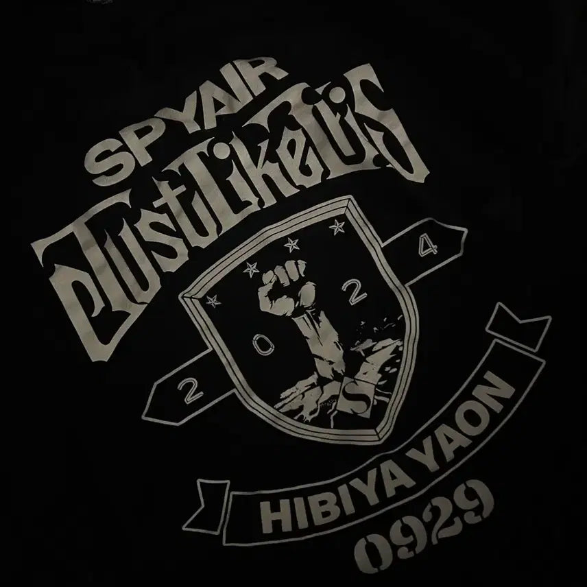 [BUNJANG] SPYAIR 2024 JustLikeThis T-Shirt (L) / 스파이에어 저락디 2024 JustLikeThis 티셔츠 L사이즈