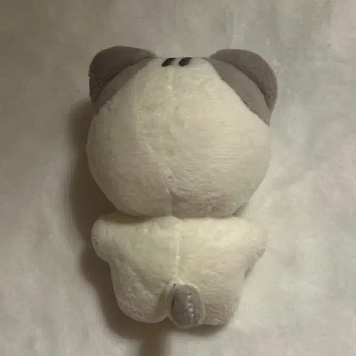[BUNJANG] Stray Kids Lee Know Cat Rinyangi Doll / 스트레이키즈 스키즈 스키주 리노 인형 고양이 리냥이