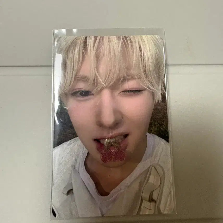 [BUNJANG] NCT Wish Sakuya BigsmMini Photocard / 빅스미니 사쿠야 포카 양도합니다