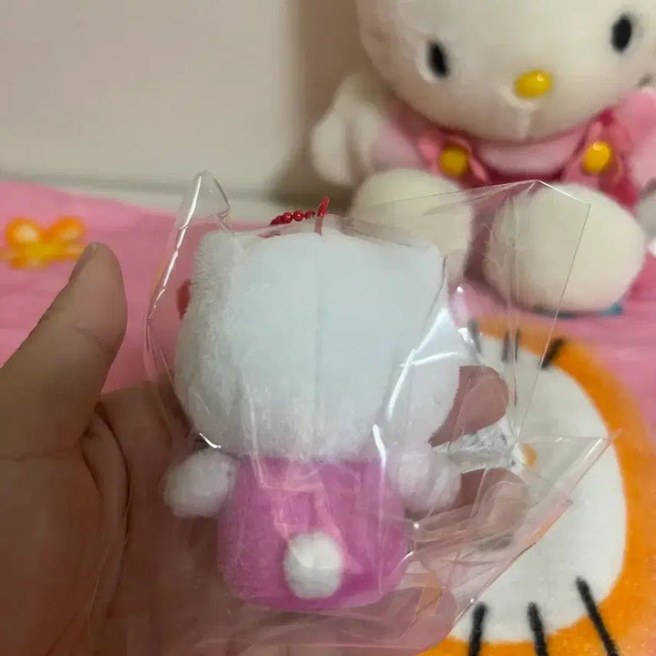 [BUNJANG] Sanrio Hello Kitty Floki Figure / 헬로키티 플로키 피규어