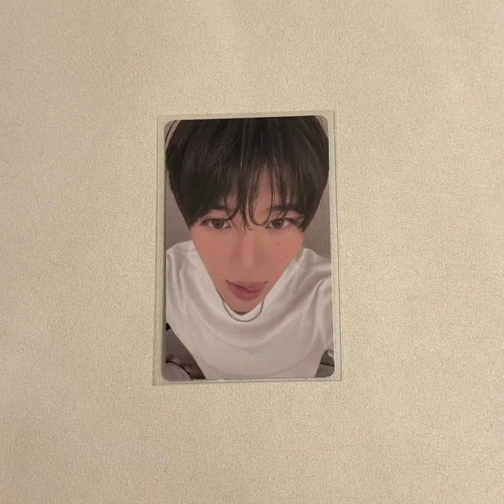 [BUNJANG] NCT WISH Sion Photocard / 엔시티 위시 컬러 위버스 라이브 시온 포카