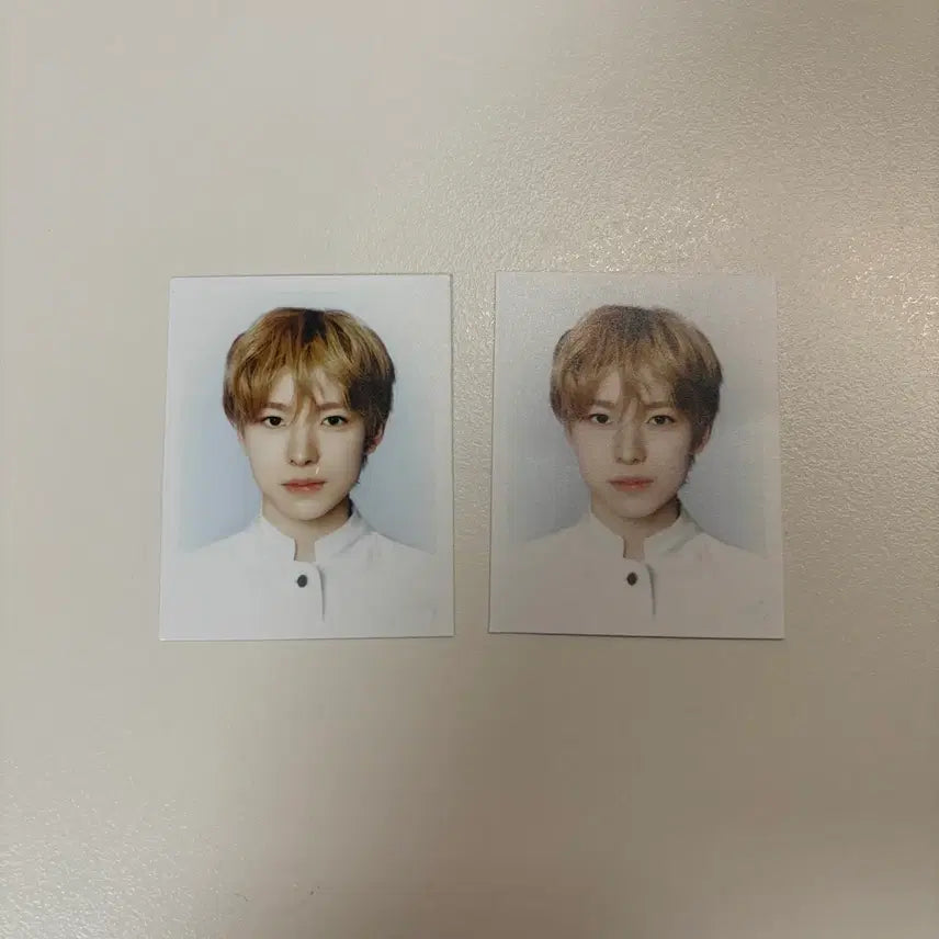[BUNJANG] Odd To Love Yuuci ID Photo / 오드투러브 유우시 증명사진