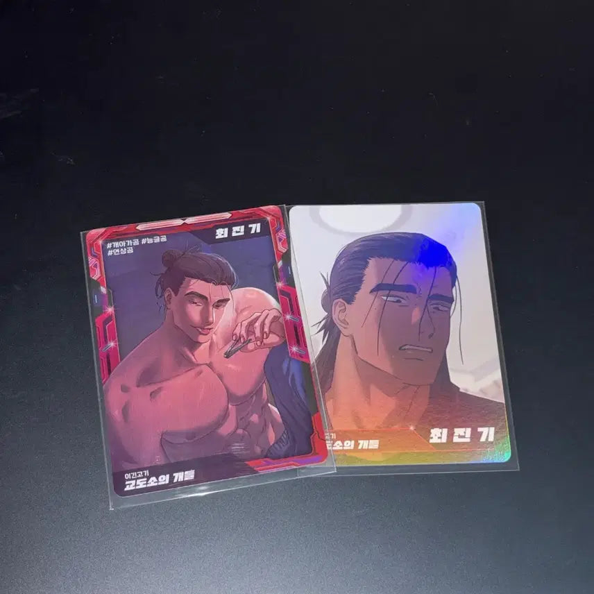 [BUNJANG] Kyodols Jin Choi AR Trading Card Bundle Set / 레진공 AR 트레이딩카드 교도소의개들 교개 일괄판매