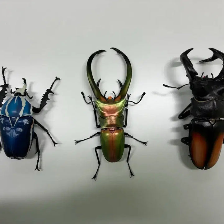 [BUNJANG] Bandai Gacha Biological Encyclopedia Advanced &amp; Regular Insects 3-Type Bundle Set / 반다이 가챠 생물대도감 어드밴스&amp;일반 곤충 3종 일괄