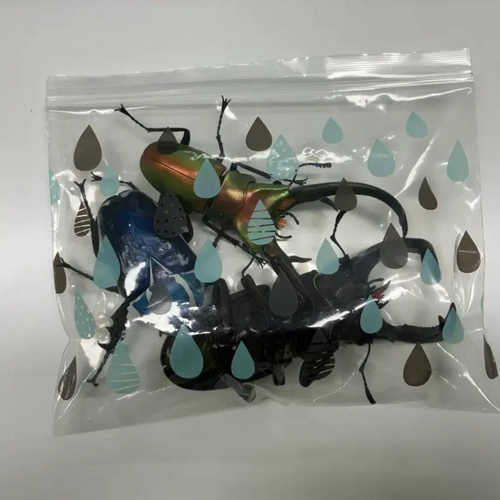 [BUNJANG] Bandai Gacha Biological Encyclopedia Advanced &amp; Regular Insects 3-Type Bundle Set / 반다이 가챠 생물대도감 어드밴스&amp;일반 곤충 3종 일괄