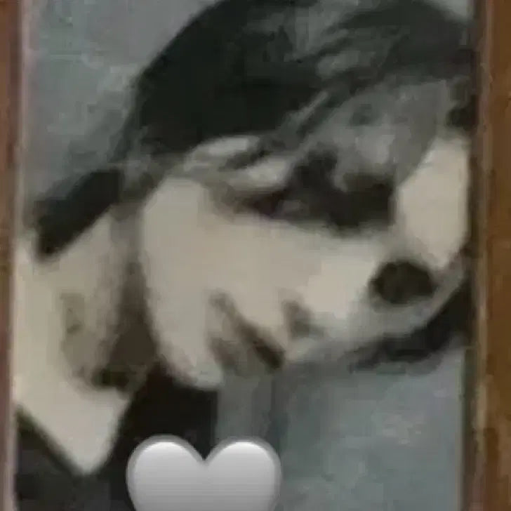 [BUNJANG] Stray Kids Hyunjin NOEASY Obsession Rare Photocard / 스트레이키즈 현진 노이지 강박 희귀 포카 양도