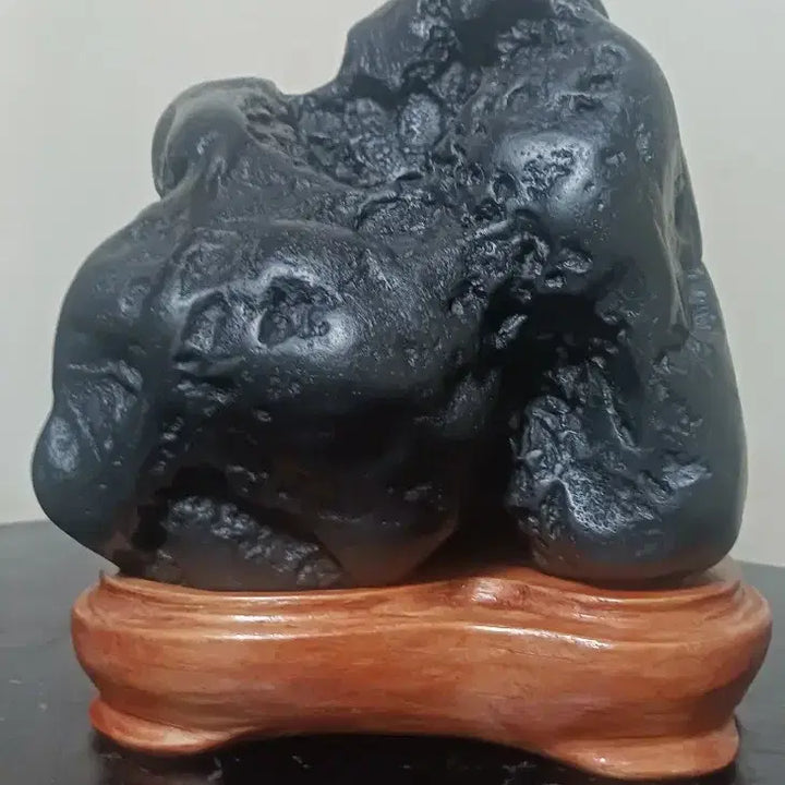 [BUNJANG] Suiseki (Fossilized Stone) / 수석(변화석)