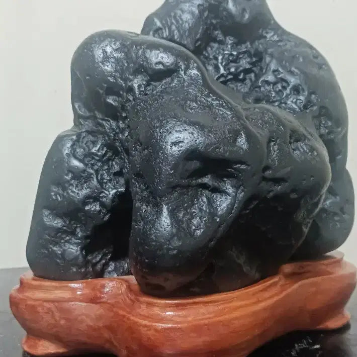 [BUNJANG] Suiseki (Fossilized Stone) / 수석(변화석)