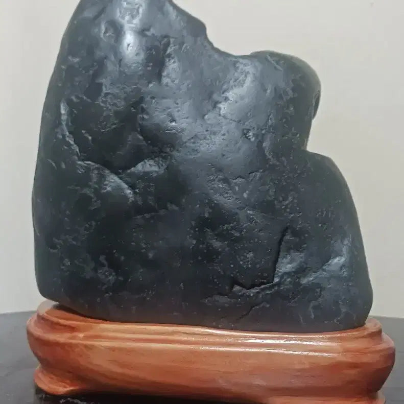 [BUNJANG] Suiseki (Fossilized Stone) / 수석(변화석)