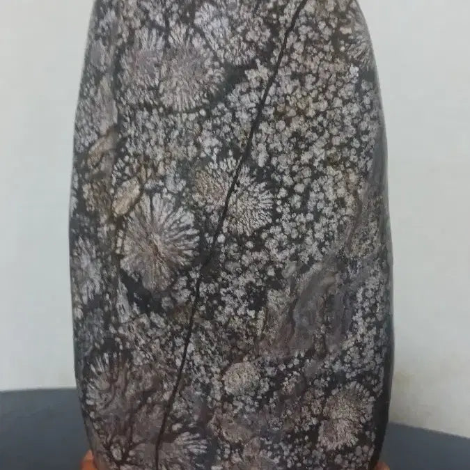 [BUNJANG] Cheongsong Stone Vase with Chrysanthemum Pattern / 청송꽃돌(쵸코 소국)