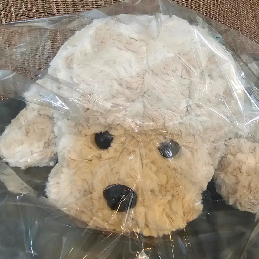 [BUNJANG] Hug Poodle Plush Toy (Approx. 45cm) / [새상품]허그푸들 인형(약45cm)