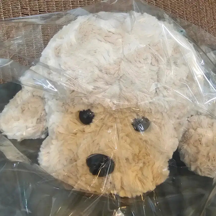 [BUNJANG] Hug Poodle Plush Toy (Approx. 45cm) / [새상품]허그푸들 인형(약45cm)
