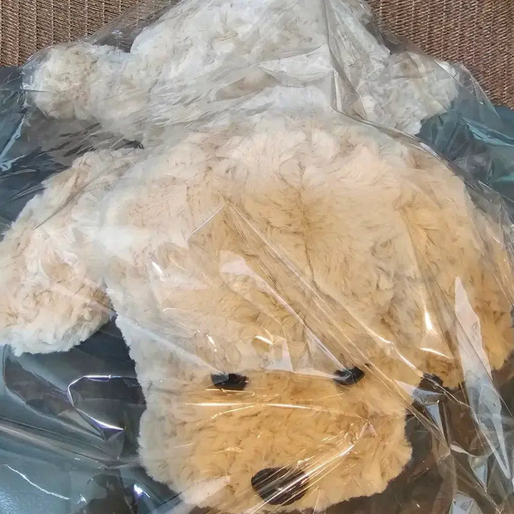 [BUNJANG] Hug Poodle Plush Toy (Approx. 45cm) / [새상품]허그푸들 인형(약45cm)
