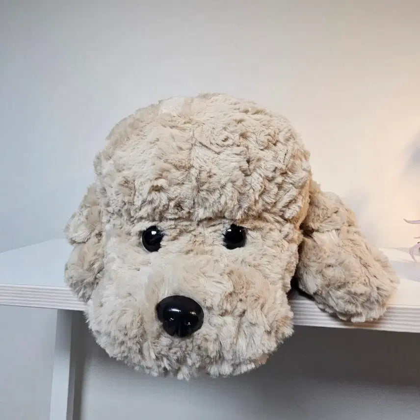 [BUNJANG] Hug Poodle Plush Toy / [택달린새상품]허그푸들 인형