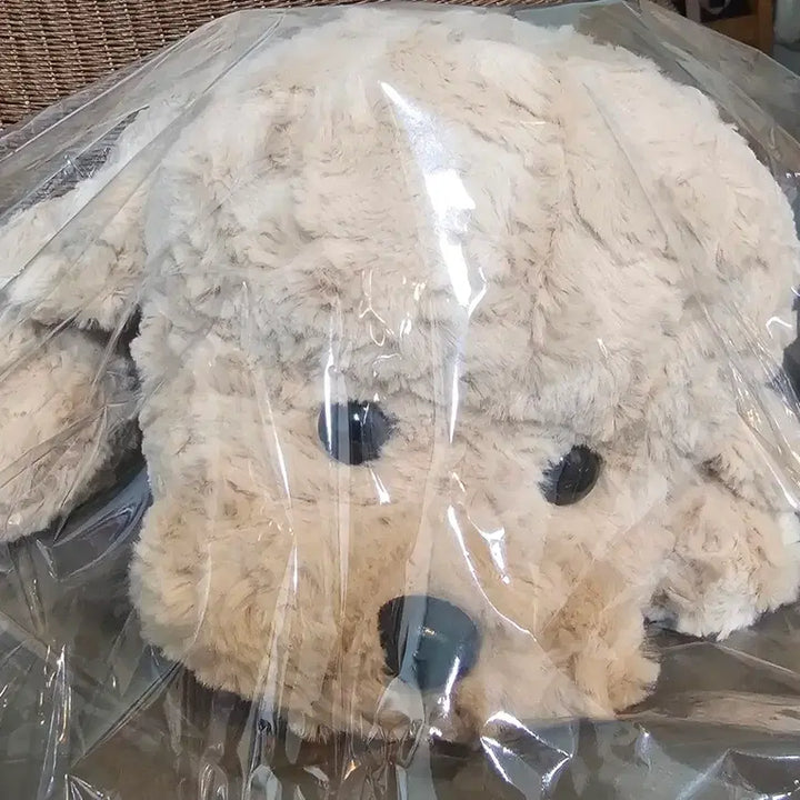 [BUNJANG] Hug Poodle Plush Toy (Approx. 45cm) / [새상품]허그푸들 인형(약45cm)