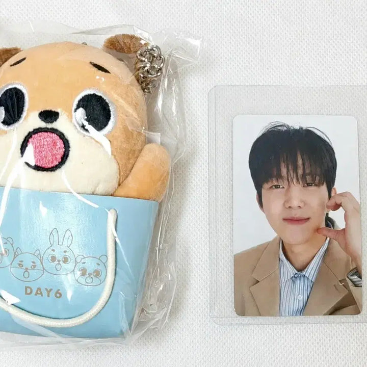 [BUNJANG] DAY6 Denimals Japan Dowoon Charm Photocard / 데이식스 데니멀즈 일본 도운 백참 포카