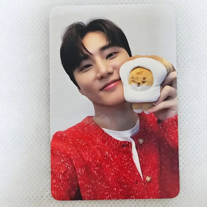 [BUNJANG] Day6 Daejeon Offline Photocard Young K / 데이식스 대전 오프라인 포카 영케이