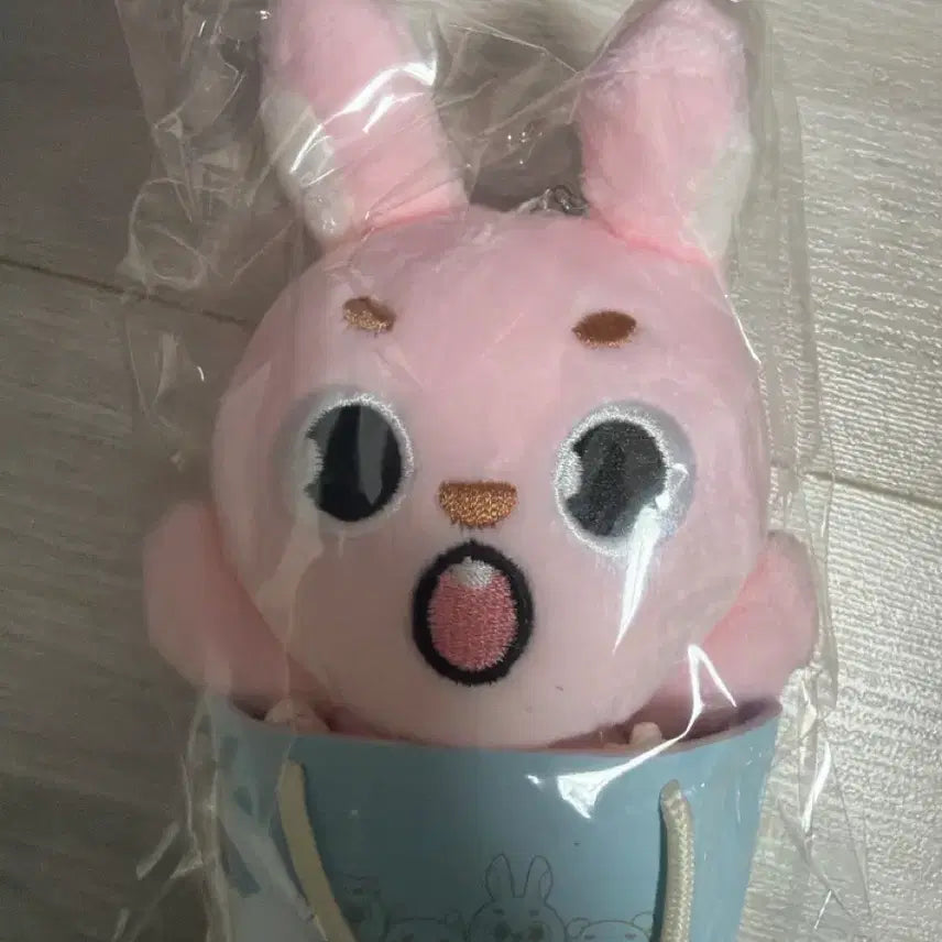 [BUNJANG] DAY6 Japan Concert Phil Doll Charm / 데이식스 일본 필 인형