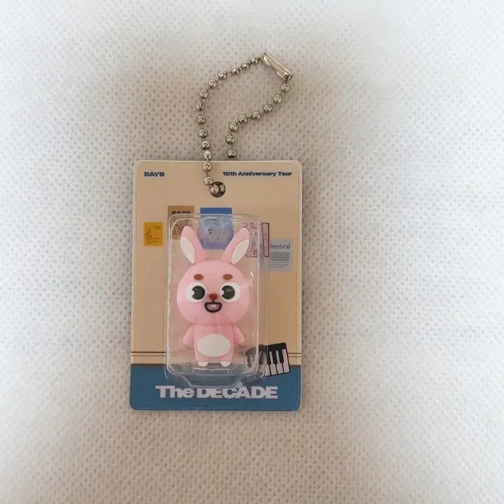 [BUNJANG] DAY6 DENIMALS Wonpil Figure / 데이식스 데니멀즈 일본 원필 피규어