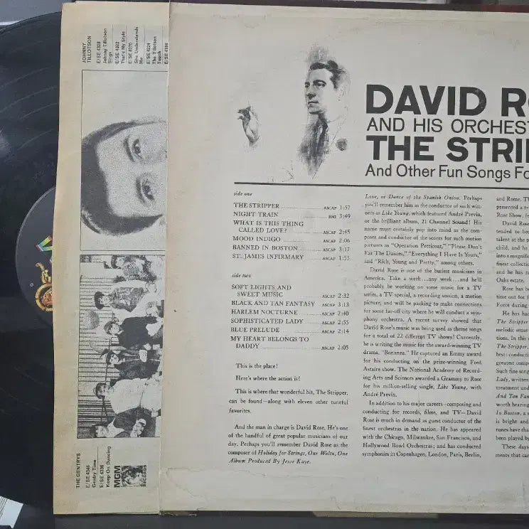 [BUNJANG] David Rose The Stripper And Other Fun Songs For The Family Jazz LP / David Rose_The Stripper~Family_재즈 LP USA