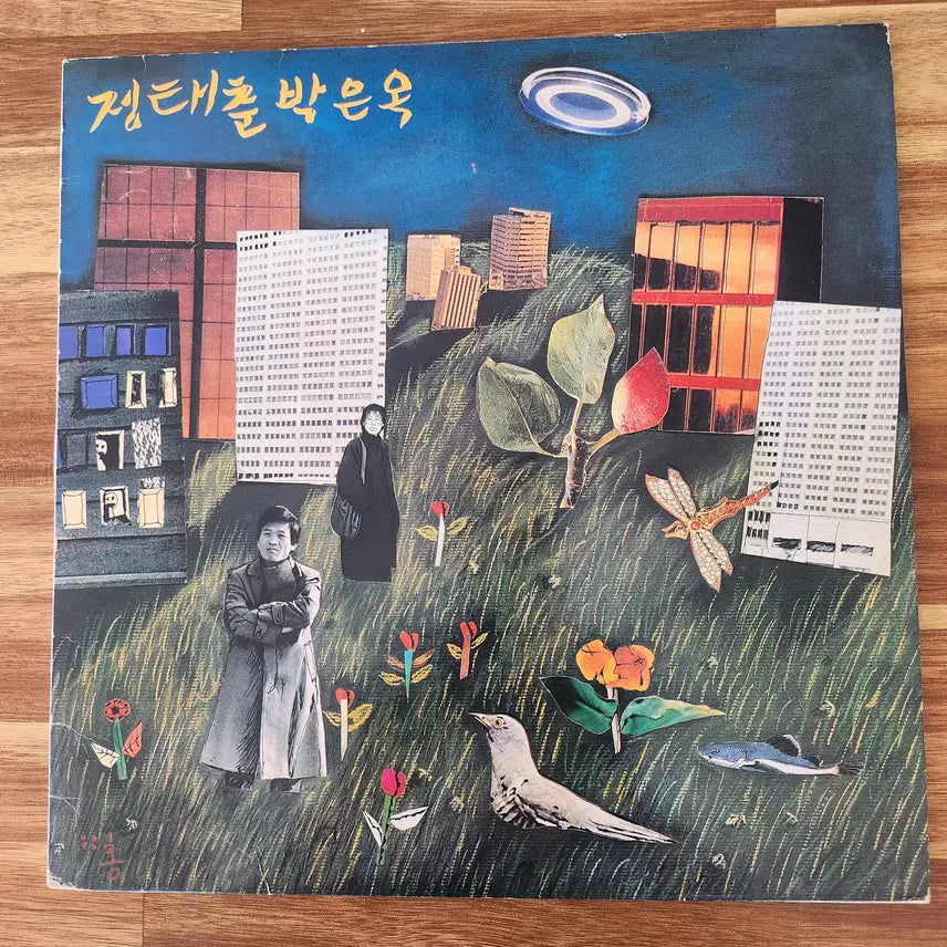 [BUNJANG] Jeong Tae Chun &amp; Park Eun Ok LP / 정태춘&amp;박은옥 LP / NM