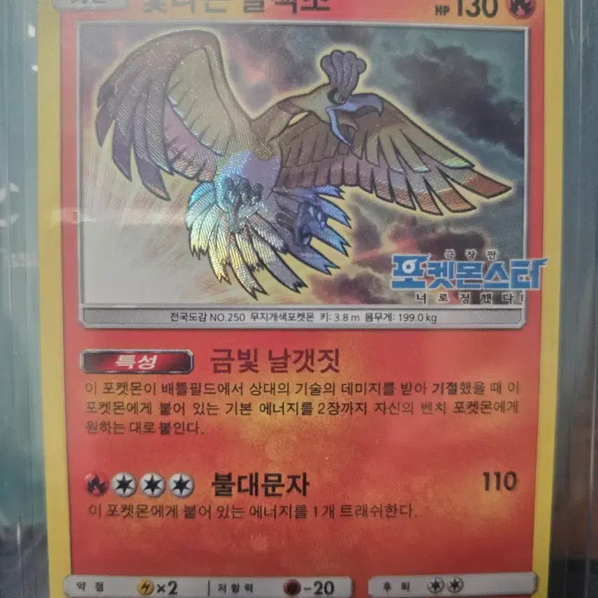 [BUNJANG] Pokemon Card Shining Ho-Oh (Good Condition) / 포켓몬카드 빛나는 칠색조 상태좋은 앨범용 판매