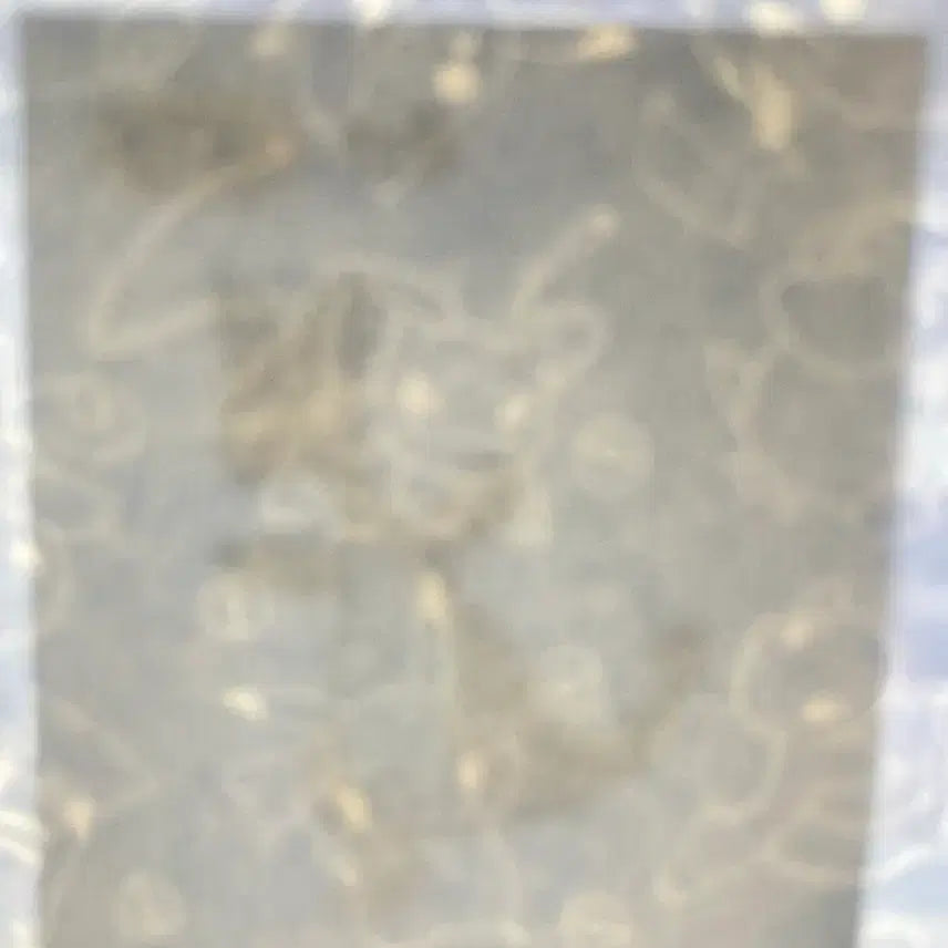 [BUNJANG] Sealed Complete Set Dragonite Pokemon Bread Stickers / 미개봉) 포켓몬 30주년 띠부씰 전룡
