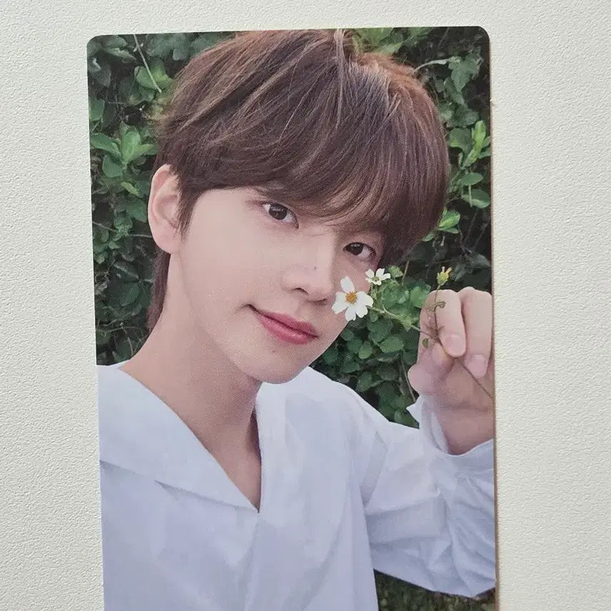 [BUNJANG] TWS Shinyu Hajimemashite Japanese Album Photocard / tws 신유 하지메마시테 일본앨범 포카