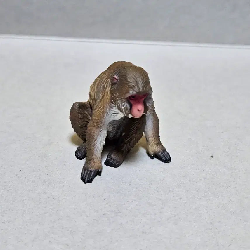 [BUNJANG] Naturel Technicolor Japanese Animal Series Monkey Figure / 네이처테크니컬러 일본의 동물 시리즈 원숭이 피규어 네이처테크니칼라