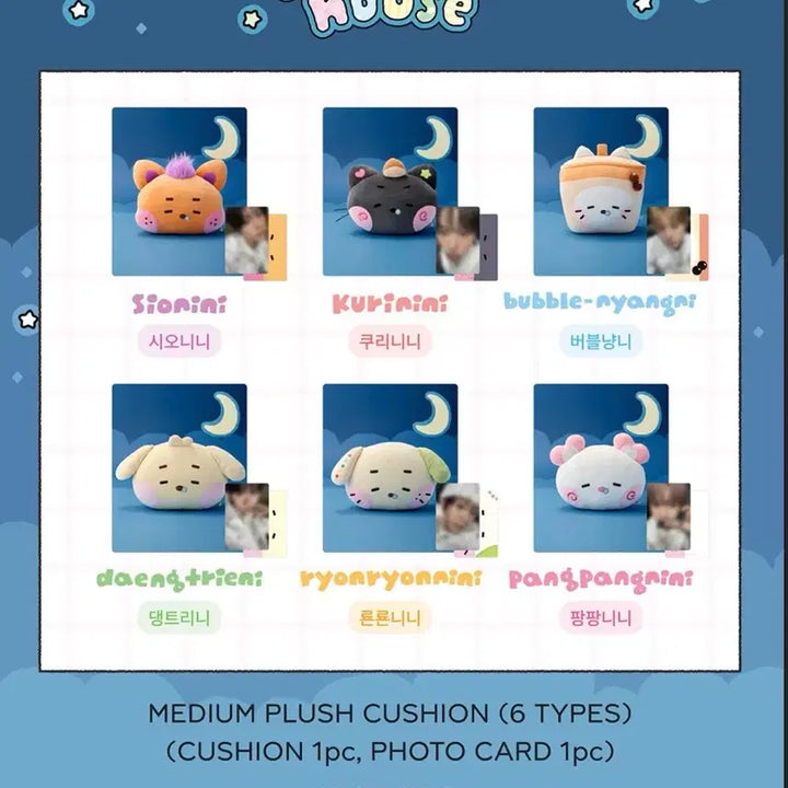 [BUNJANG] NCT WISH LINE FRIENDS Split Set Keychains and Cushions / 엔시티위시 라인프렌즈 분철