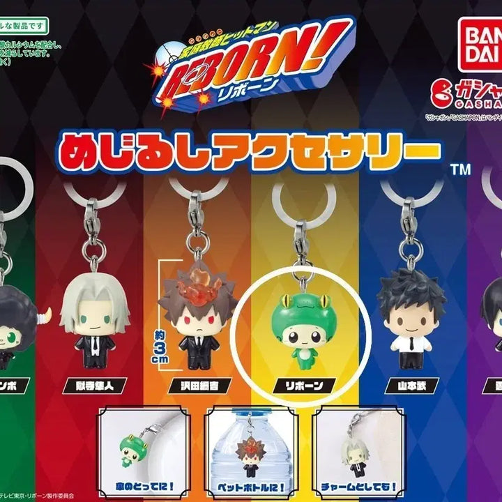 [BUNJANG] Katekyo Hitman Reborn! Mezurushi Character Stand / 가히리 가정교사히트맨리본 메지루시