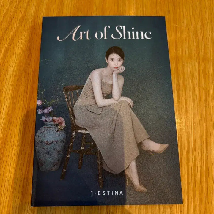 [BUNJANG] J.ESTINA IU Pamphlet / [새상품] 제이에스티나 아이유 팜플렛