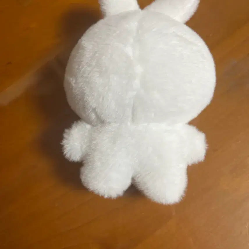 [BUNJANG] Seventeen Jeonghan Doll / 세븐틴 정한 인형(쫑모찌)