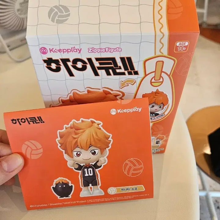 [BUNJANG] Haikyuu!! Hinata Model Kit Figure / 하이큐!! 모델킷 피규어 히나타