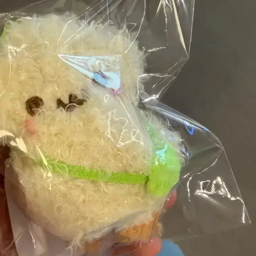 [BUNJANG] HaTuHa Ian Peanuts Keychain / 새상품) 하투하 이안 정땅콩 키링