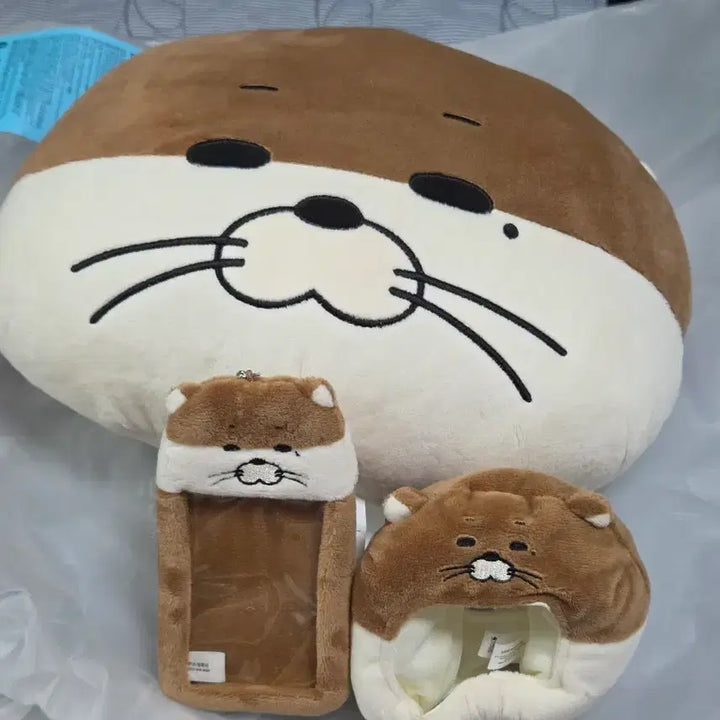 [SOLD OUT] 쁘넥도 보넥도 보이넥스트도어 리우 달링이 양도