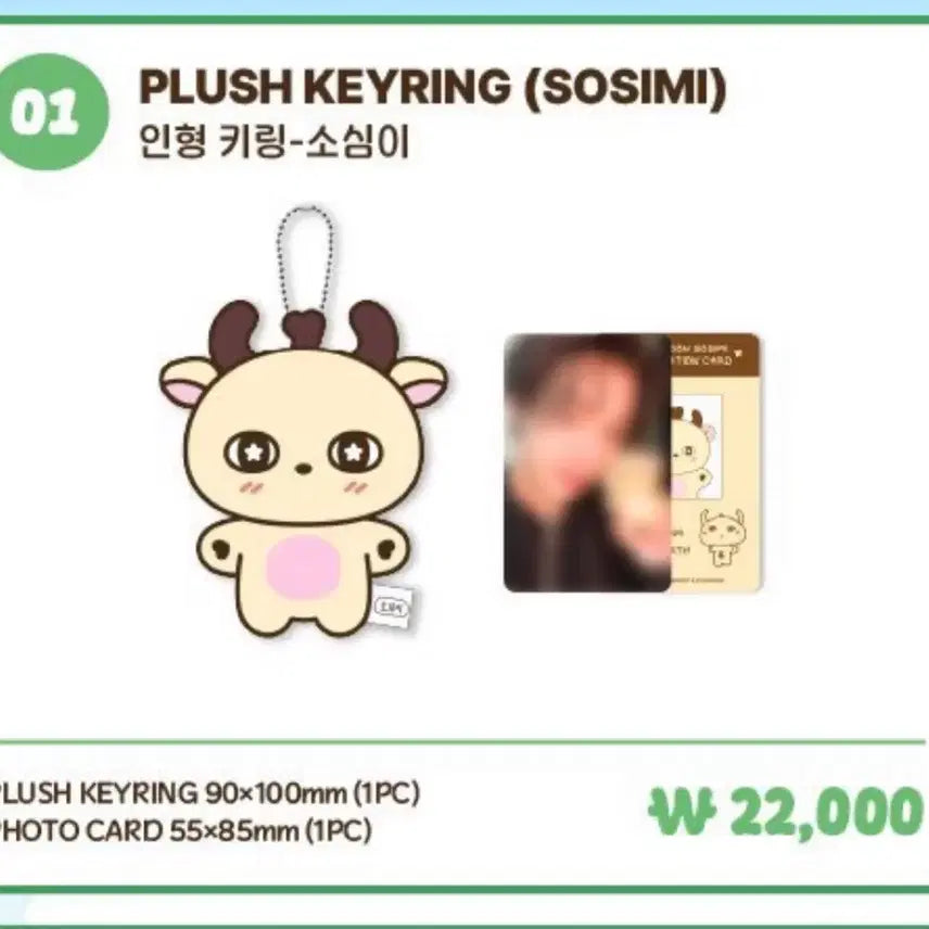 [BUNJANG] Park Ji Hoon "Sosimi" Doll / 박지훈 소심이 인형 ㅂㅈㅎ 소심