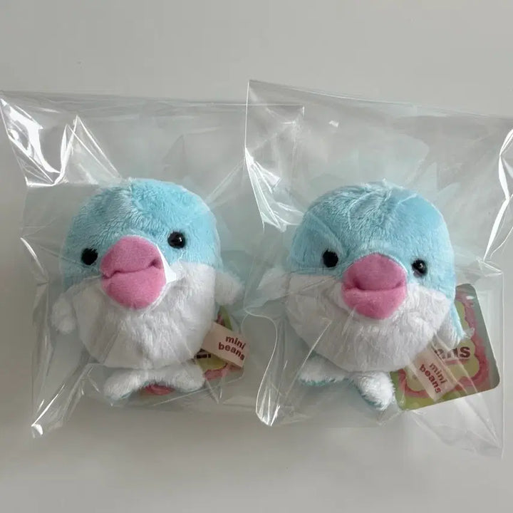 [BUNJANG] Minibeans Dolphin Unsealed / minibeans 미니빈즈 돌고래 새제품