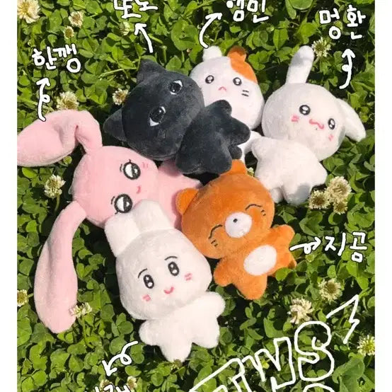 [BUNJANG] TWS Dohoon "Tzizu Dodo" 10cm Doll / 투어스 도훈 인형 투어쮸 또도