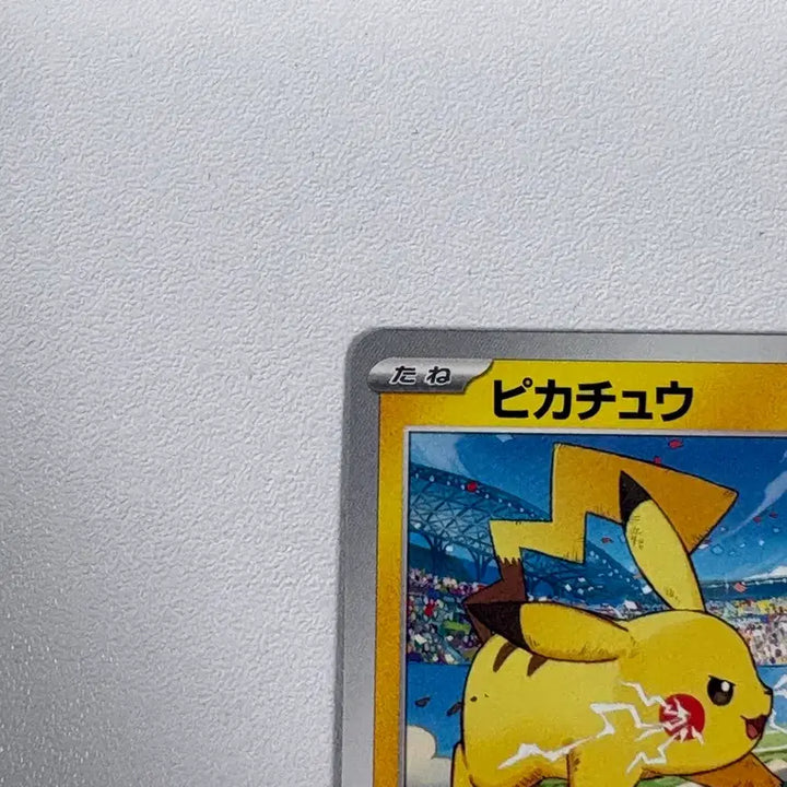 [BUNJANG] Pokemon Card Game Pikachu 120/SV-P Promo / 포켓몬 카드 게임 피카츄 120/SV-P 프로모
