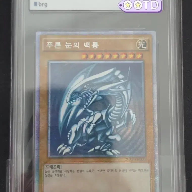 [BUNJANG] Yu-Gi-Oh! Blue-Eyes White Dragon Error Card Prismatic Secret Rare BRG 8.5 / 유희왕 푸른 눈의 백룡 오류판 프시크 brg 8.5