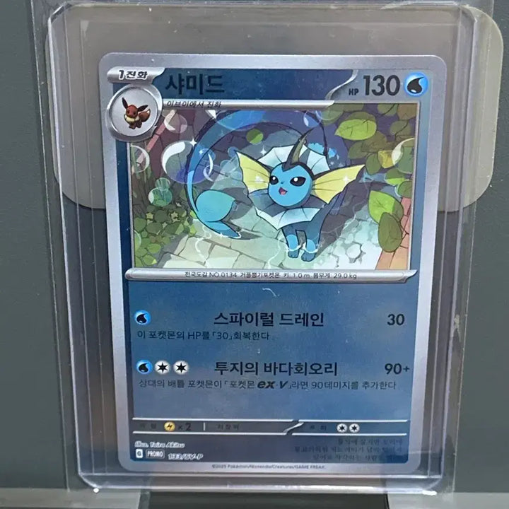 [BUNJANG] Pokemon Card Evolution Promo Bundle Set (7 Types) / [프로모 일괄] 포켓몬카드 블래키등 진화 프로모 한판 7종 판매