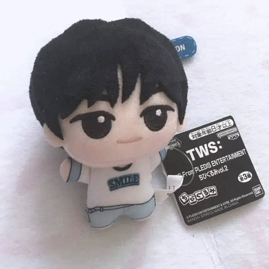 [BUNJANG] TWS Dohoon Bandai Namco Chibi Gurumi Nui / 투어스 도훈 반다이남코 치비구루미 누이 판매 양도 tws
