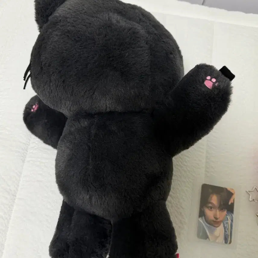 [BUNJANG] NCT WISH Riku Kuri Bag Full Set Photocard / 엔시티 위시 쿠리 가방 풀셋(본품+끈+포카)
